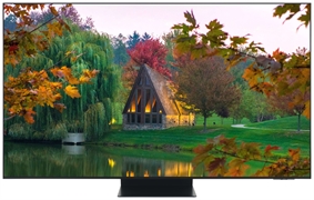 SAMSUNG QE65S95F SAMSUNG QE65S95F