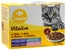COMPANINO (CARREFOUR) Vitalive en gelatina Pescado