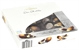 J.D. GROSS (LIDL) Sea Shells