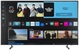 SAMSUNG TQ65LS03B