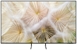 SAMSUNG GQ55S85H