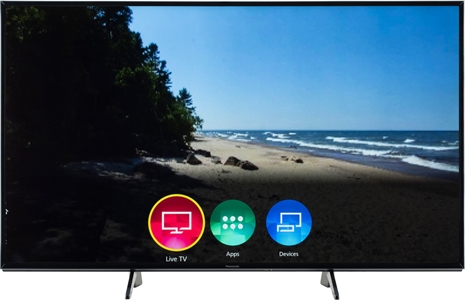 PANASONIC TX-55FX600E