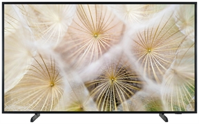 SAMSUNG QE50LS03F