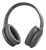SONY WH-H910N